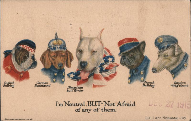 I'm Neutral, BUT Not Afraid of Any of Them - Five Breeds of Dogs