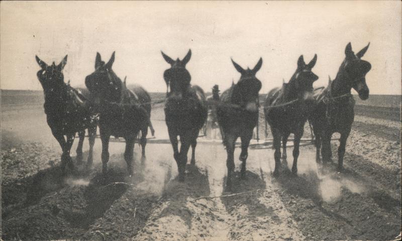 Pulling Together The National Farm Loan Association