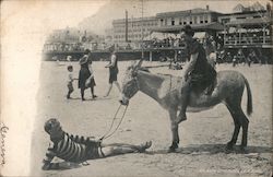 Man & Woman with Donkey at the Beach Atlantic City, NJ Postcard Postcard Postcard