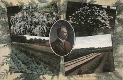 D. HIll Postcard