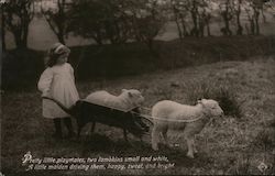 Young Girl Driving Lambs with Poem Children Postcard Postcard Postcard