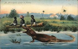 An All-In-Gator Lunch at Florida Black Americana Postcard Postcard Postcard