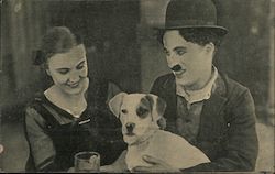 Charles Chaplin in Charlot Vida de Perro Actors Postcard Postcard Postcard