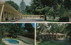 El Bonita Motel Postcard