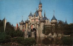 Sleeping Beauty Castle Disneyland Postcard