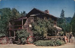 Bret Harte Cabin and Hangman's Tree Postcard
