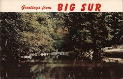 Trout Fishing - Big Sur River, Sur Redwood State Park Postcard