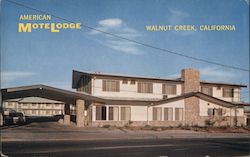 American MoteLodge Postcard