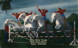 White Horse Troupe, White Horse Ranch Naper, NE Postcard Postcard Postcard