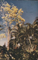 Flower Tree Postcard