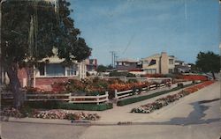 Colorful Gardens Postcard