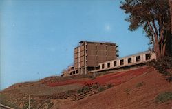 Ground Cover in Bloom, Rio Hondo Junior College Postcard