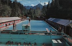Sol Duc Hot Springs Postcard