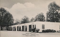 Oaknoll Motor Court Postcard