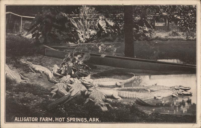 Alligator Farm Hot Springs Arkansas