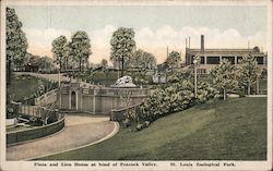 Plaza and Lion House at head of Peacock Valley, St. Louis Zoo Postcard