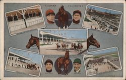 Tijuana Favorites Horse Racing Postcard Postcard Postcard