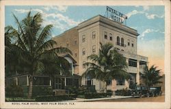 Royal Palm Hotel Postcard