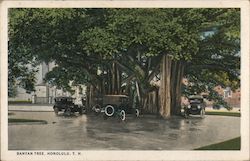 Banyan Tree Postcard