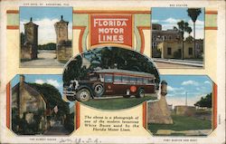 Florida Motor LInes Buses Postcard Postcard Postcard