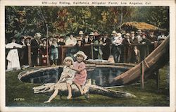 Joy Riding, California Alligator Farm Postcard