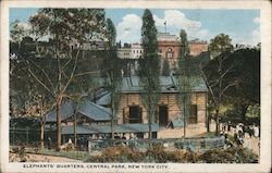 Elephants Quarters Central Park New York City, NY Postcard Postcard Postcard