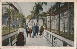 Interior Bird House, North End, Franklin Park Postcard