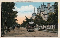 Grand Allee Postcard