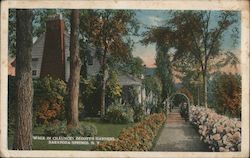 Walk in Chauncey Olcott's Gardens Postcard