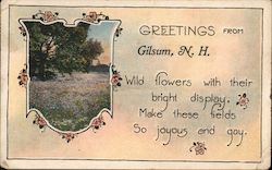 Greetings from Gilsum Postcard