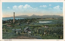 Lihue Sugar Mill Smokestack Postcard
