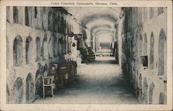 Colon Cemetery Catacombs Postcard