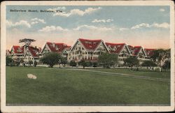 Belleview Hotel Belleair, FL Postcard Postcard Postcard