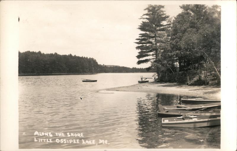 Along the Shore Little Ossipee Lake Waterboro, ME Postcard