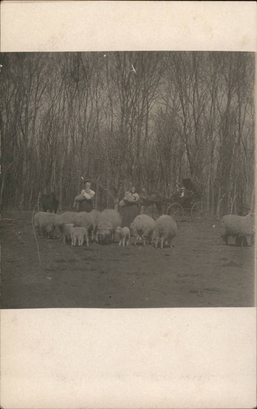 Women with Sheep