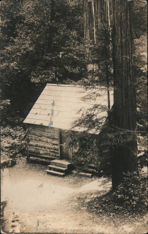 Small Cabin in the Woods, Probably Camp Meeker Area California