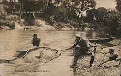 Landing a Good One Fishing Postcard Postcard Postcard