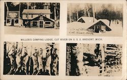Miller's Camping Lodge Cut River on U.S. 2 Postcard