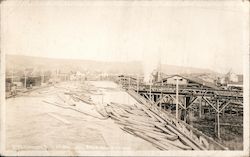 Logging, Sawmill Lumber Pond Postcard