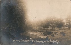 Picnic Ground on the Banks of the Wabash River Geneva, IN Postcard Postcard Postcard