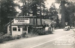Entrance to Underwood Park "In the Redwoods" Postcard