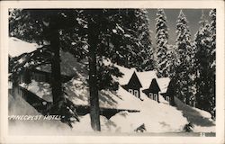 Hotel Pinecrest, Stanislaus National Forest Postcard