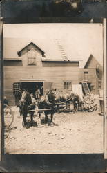 Horse Team Rigged for Hauling Postcard