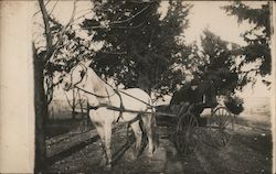 Horse & Buggy Burden, KS Horse-Drawn Postcard Postcard Postcard