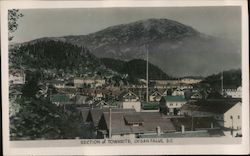 Section of Townsite Postcard