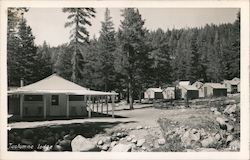 Tuolumne Meadows Lodge Postcard