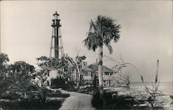 Sanibel Island Lighthouse Station after 1947 Hurricane Florida Postcard Postcard Postcard