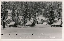 At Mineral Lodge California Postcard Postcard Postcard