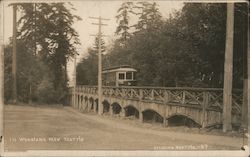 Woodland park Postcard