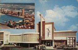 Driftwood Motel Postcard